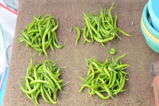 Price of green chillies has fallen suddenly