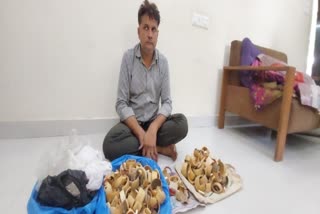 lcb-team-nabs-one-with-ivory-haul-in-bhavnagar-forest-department-launches-probe