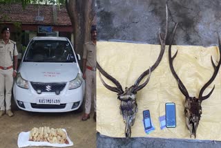 sandalwood-smuggling-deer-skin-sellers-arrested-in-kollegala