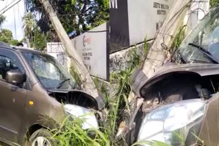 Car accident in Thrissur  പല്ലി ദേഹത്തേക്ക് ചാടി  ഭയന്ന് വിറച്ച് ഡ്രൈവര്‍  നിയന്ത്രണം വിട്ട കാര്‍ പോസ്റ്റിലിടിച്ചു  നിയന്ത്രണം വിട്ട കാര്‍ പോസ്റ്റിലിടിച്ചു