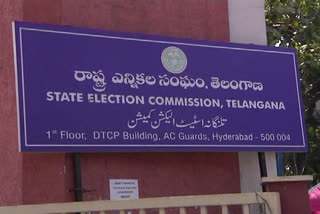 EC Instructions for TS Assembly Elections
