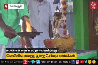 கடவுளாக மாறிய கருணைக்கிழங்கு! கோயிலில் வைத்து பூஜை செய்யும் ஊர்மக்கள்..