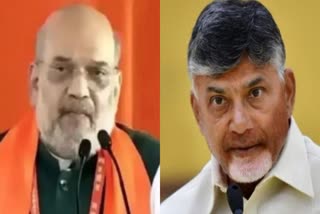 TDP President Chandrababu Naidu meets Home Minister Amit Shah