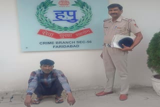 cow smuggling accused arrested