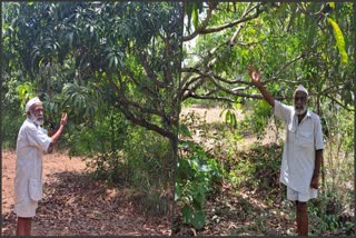 environmentalist Shivaji Kagnikar