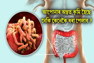 Intestinal Worms Symptoms Treatment Causes Recovery