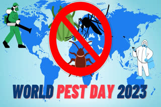 World Pest Day 2023: Spreading Awareness about Issues Caused by Pests and Rodents