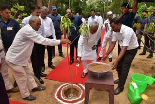 सीएम नीतीश कुमार ने मुख्यमंत्री आवास में किया पौधारोपण