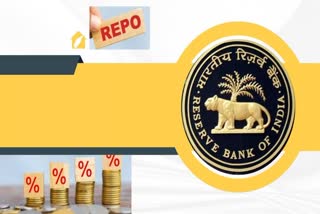 Etv BharatSBI Report on RBI Repo Rate