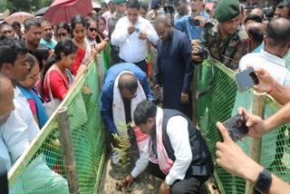 World environment day observed at Sootea