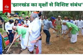 Jharkhand Governor CP Radhakrishnan planted trees on World Environment Day in Ranchi