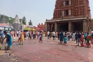 the-roads-in-front-of-nanjundeshwara-temple-are-cool