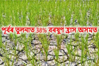 There is no rainfall in Assam this year