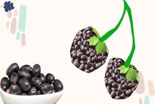 Jamun Seeds News