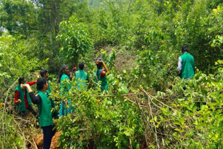 On the World Environment Day, adolescents and youth across the three states of Telangana, Andhra Pradesh and Karnataka took the Mission LiFE oath physically and online, to take positive action supporting climate action to preserve the environment.