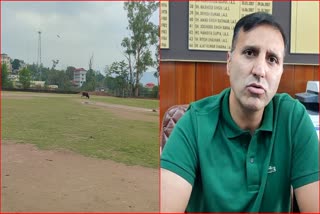 Two sports grounds will be developed in Bilaspur