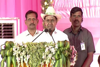 CM KCR