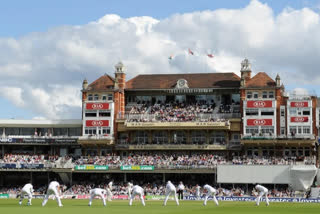 WTC FINAL 2023 THE OVAL PITCH REPORT WHAT TO DO BATTING OR BOWLING AFTER WINNING THE TOSS