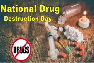 National Drug Destruction Day 2023