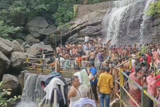 suruli falls