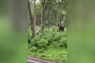 Elephant chase youth in Muthanga forest  കാട്ടാനയുടെ ദൃശ്യം പകര്‍ത്താന്‍ ശ്രമം  കാട്ടാനയുടെ ദൃശ്യം  കാട്ടാന  യുവാവിനിത് രണ്ടാം ജന്മം  പിഴയിട്ട് വനം വകുപ്പ്  വനം വകുപ്പ്  Elephant chase youth  Muthanga forest  കാട്ടാന ആക്രമണം  elephant news  wild elephant news updates