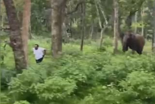 Young man was taking photo of wild elephant, elephant ran away
