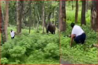 man-tried-to-take-photo-wild-elephant-attack