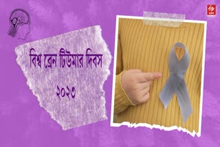 World Brain Tumor Day 2023 News