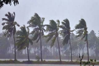 Monsoon Reaches Kerala