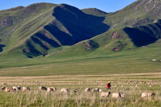 China forcibly seizes Tibetan farmers' land to build hydropower dam: Report