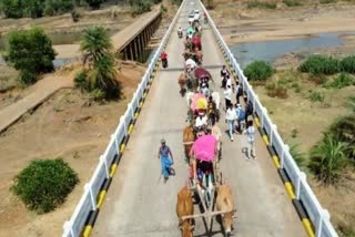 wedding procession on bullock carts