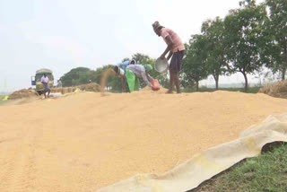 Production of Paddy In AP