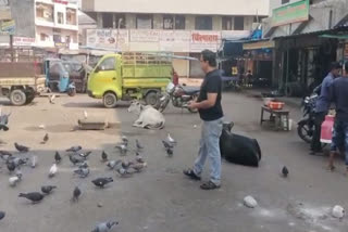 youth became messiah for birds in korba