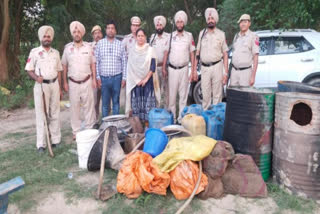 In Hoshiarpur, the Excise Department recovered 17000 kg of lahan, 320 liters of illegal liquor.
