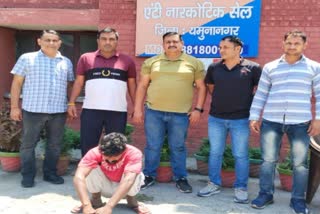 drug smuggler arrested in yamunanagar