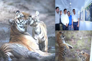 TSRTC Tiger photo exhibition