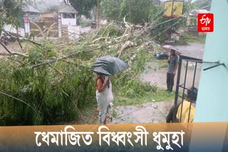 Strom hits dhemaji district