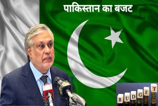 Pakistani Finance Minister Ishaq Dar