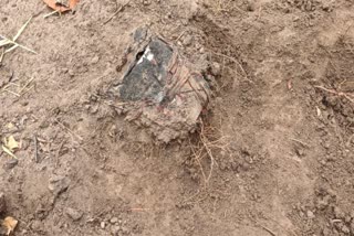 tiffin bomb found in bijapur