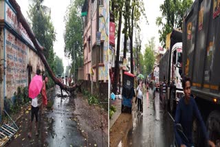 rainfall in Jhargram