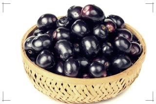 Black plums benefits for liver