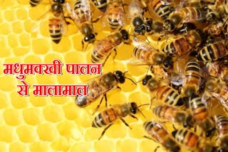 Yamunanagar beekeeper Subhash Kamboj beekeeping business