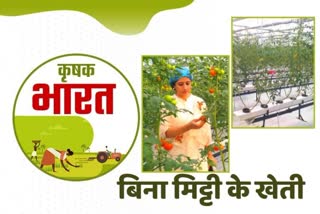 Hydroponic Farming in Panipat