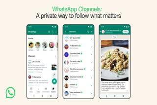 Whatsapp Channel vs Group
