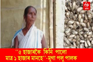 silk worms farmer problem face in dhemaji