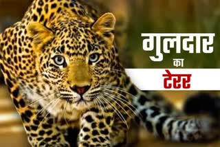 Leopard Attack at Chinyalisaur