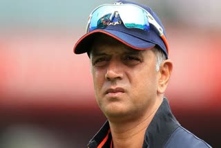 indian-cricket-coach-reaction-after-defeat-in-wtc-final-against-australia