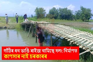 Dhemaji bamboo bridge