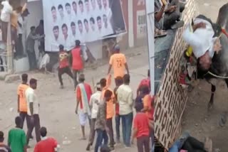 bull-race-in-karnataka-several-people-injuried-viral-video