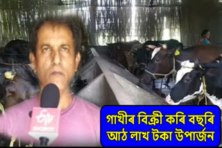 Story of Cow herders